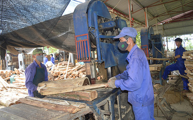 Yên Bái phát triển công nghiệp chế biến gỗ rừng trồng