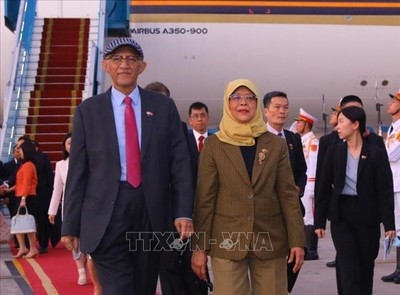 Tổng thống Singapore bắt đầu thăm cấp nhà nước tới Việt Nam