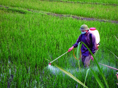Hà Nam: Giải pháp xử lý vỏ bao bì đựng thuốc bảo vệ thực vật