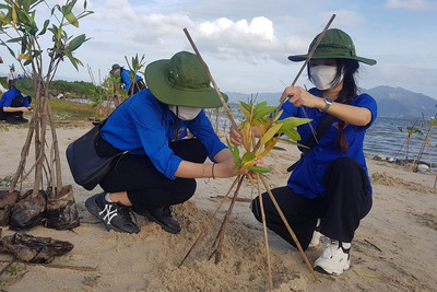 TP.Cam Ranh (Khánh Hòa): Phân bổ hơn 86.000 cây giống để trồng cây phân tán