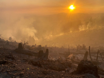 Mỹ: Cháy rừng mất kiểm soát ở Washington khiến hàng nghìn người phải sơ tán