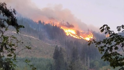 Mỹ: Seattle và Portland chịu chất lượng không khí tồi tệ nhất thế giới sau hàng loạt vụ cháy rừng