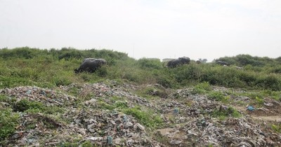 Cận cảnh núi rác 84.000 tấn bị bỏ quên giữa thành phố