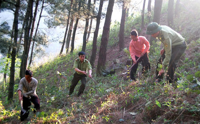 Lục Yên (Yên Bái) triển khai nhiệm vụ diễn tập ứng phó cháy rừng và tìm kiếm cứu nạn