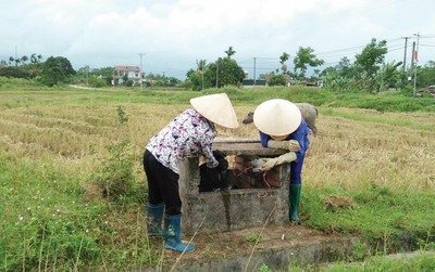 Nông dân Quảng Ngãi tích cực bảo vệ môi trường, ứng phó với biến đổi khí hậu