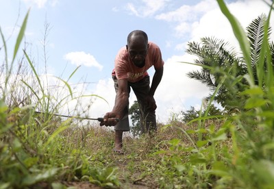 Vương quốc Anh cung cấp 109 triệu đô la tài trợ khí hậu cho nông dân Nigeria