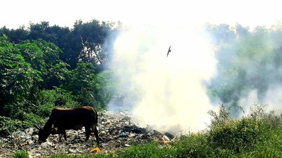Cà Mau: Dân kêu cứu vì nhà máy rác gây ô nhiễm! (Bài 2)
