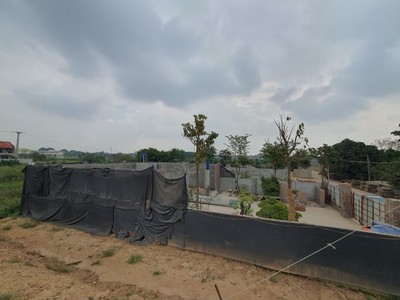 Xây dựng, hoạt động bãi vật liệu trên đất nông nghiệp tại Văn Phú, Thường Tín, Hà Nội
