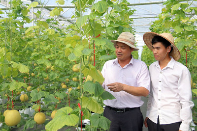 Bắc Ninh ưu tiên phát triển nông nghiệp thân thiện với môi trường