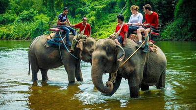 Đắk Lắk: Chi 55 tỷ đồng để xây dựng mô hình du lịch thân thiện với voi