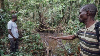 Congo kêu gọi bồi thường để ngừng khoan dầu ở vùng đất than bùn