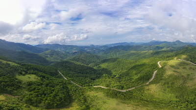 Quảng Ninh: Nâng cao diện tích rừng phòng hộ, rừng đặc dụng