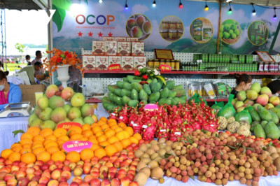 Festival Nông sản, sản phẩm OCOP Hà Nội năm 2022 sắp diễn ra tại Mê Linh