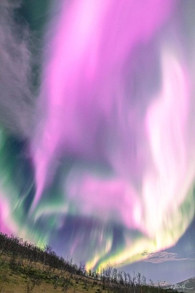 Cực quang màu hồng cực hiếm được phát hiện tại Na Uy