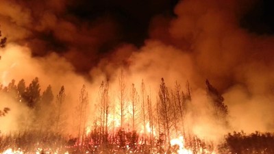 Các nỗ lực bảo tồn làm trầm trọng hơn các vụ cháy rừng ở đông nam nước Úc