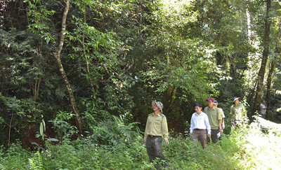 Kon Tum tổng kết công tác quản lý, bảo vệ và phát triển rừng năm 2022