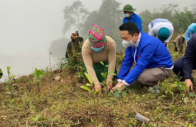 Yên Bái: Huy động và sử dụng hiệu quả nguồn thu dịch vụ môi trường rừng