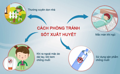 Bắc Giang: Đề nghị tăng cường công tác phòng, chống bệnh sốt xuất huyết