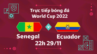 VTV5 Trực tiếp bóng đá Ecuador vs Senegal 22h hôm nay 29/11 World Cup 2022