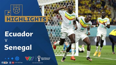 [Video] Highlights bóng đá VTV World Cup 2022 Ecuador vs Senegal (1-2)
