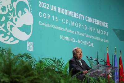 COP15: Những điều cần biết về Hội nghị thượng đỉnh về đa dạng sinh học