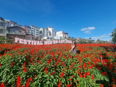 Tăng cường chỉnh trang đô thị chào đón Festival Hoa Đà Lạt lần thứ IX - năm 2022