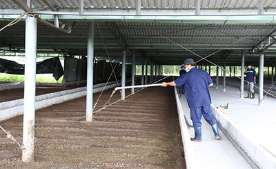 Đồng Nai thí điểm xử lý chất thải trong chăn nuôi bằng phương pháp sinh học