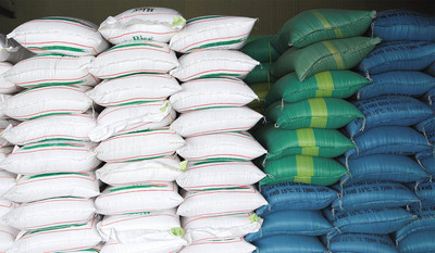 Hỗ trợ gạo cho học sinh vùng đặc biệt khó khăn tại Cao Bằng, Bắc Cạn, Thái Nguyên