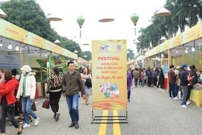 Festival Nông sản, sản phẩm OCOP Hà Nội - 2022 ấn tượng, thu hút khách đến tham quan