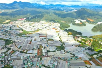 Lâm Đồng: Sẽ giải tỏa 100% nhà kính xây dựng trái phép trên đất lâm nghiệp