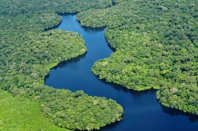 Mỹ Latin và Caribe chung tay bảo vệ môi trường