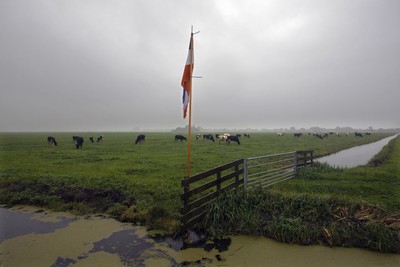 Vì mục tiêu giảm khí thải nhà kính, Hà Lan không còn ưu tiên xuất khẩu nông sản