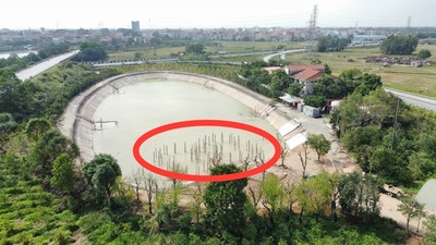 Bắc Ninh: Dấu hiệu sử dụng đất sai mục đích, xây dựng trái phép trên dự án nông nghiệp?