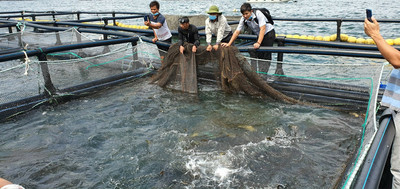 Khánh Hòa triển khai Đề án Bảo vệ môi trường trong hoạt động thủy sản