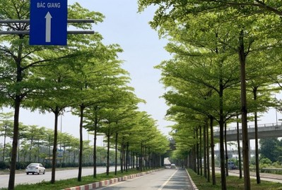 Nghiên cứu xây dựng bộ tiêu chí QH và thiết kế cây xanh cho các DA xây dựng công trình giao thông