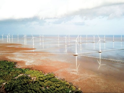 Mối nguy tiềm ẩn của điện gió gần bờ ở Đồng bằng sông Cửu Long