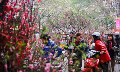 Hà Nội tổ chức 91 điểm chợ hoa Xuân phục vụ Tết Quý Mão 2023
