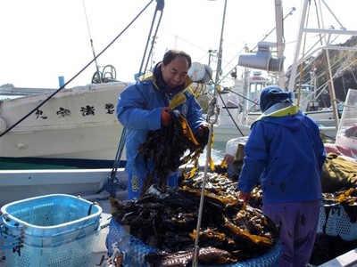 Nhật Bản: Nỗ lực tăng sản lượng “carbon xanh” của ngư dân Hokkaido