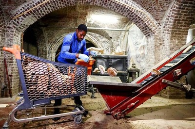 Bỉ: Trồng nấm “tái chế” từ phế thải bia và bánh mì