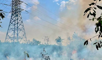 Cháy vườn tràm, đe dọa đường dây cấp điện cho 2 khu công nghiệp ở Đồng Nai