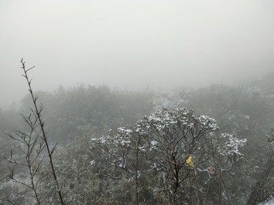 Lào Cai: Tuyết rơi dày hiếm thấy nhuộm trắng đỉnh Fansipan
