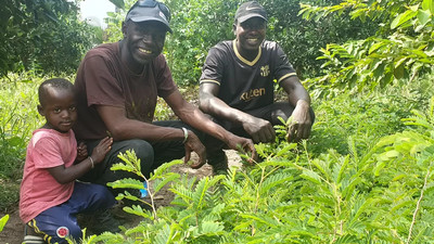 Người đàn ông Senegal với sứ mệnh trồng 5 triệu cây xanh