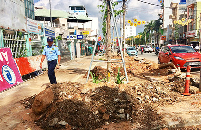 TP. HCM cấm đào đường trong dịp Tết Quý Mão năm 2023