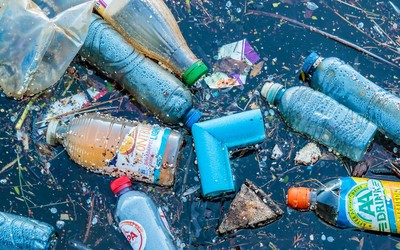 Khủng hoảng khí hậu hiện nay chứng tỏ thói “nghiện” sử dụng đồ nhựa của chúng ta