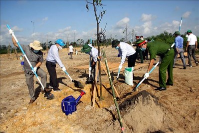 Quảng Nam đưa ra chỉ tiêu trồng mới 10,3 triệu cây xanh trong năm 2023