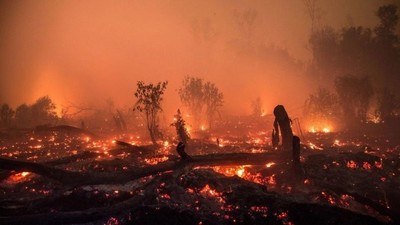 Indonesia: Nguy cơ cháy rừng luôn “rình rập” trong năm 2023