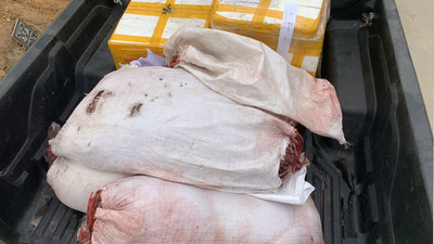 Bắc Giang: Xử phạt, buộc tiêu hủy gần 4 tạ ức gà và nội tạng động vật bẩn ở Lục Ngạn