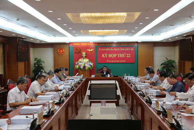 Kỷ luật chủ tịch, phó chủ tịch Đồng Tháp, miễn nhiệm phó chủ tịch Quảng Ninh, Gia Lai