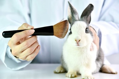 Canada cấm thử nghiệm mỹ phẩm trên động vật