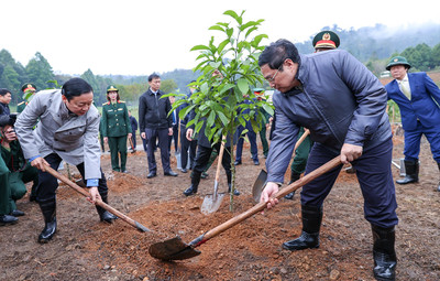 Thủ tướng Phạm Minh Chính phát động Tết trồng cây tại Hà Nội